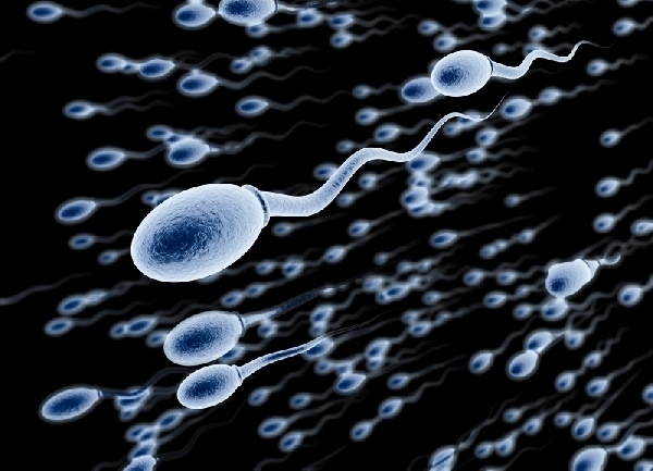 sperma