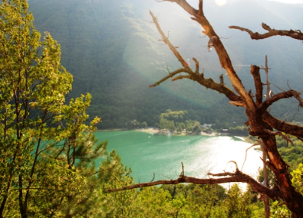 Boračko jezero