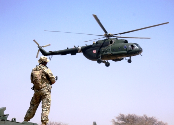 eufor eufor