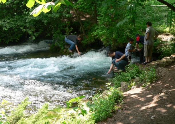 vrelo bosne