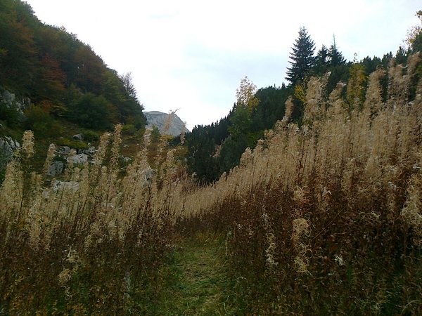 Praznik ljepote na Jahorini i Treskavici Praznik ljepote na Jahorini i Treskavici