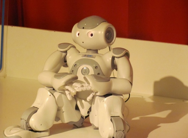 humanoidni robot