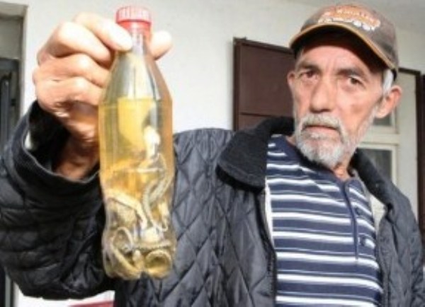 rakija poskoku&scaron;a