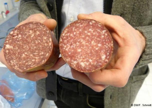 meso_govedina ili konjetina