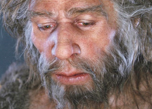 neandertalac nova