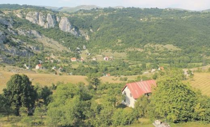 selo petinje