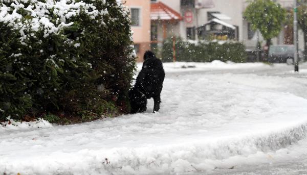snijeg hrvatska snijeg hrvatska