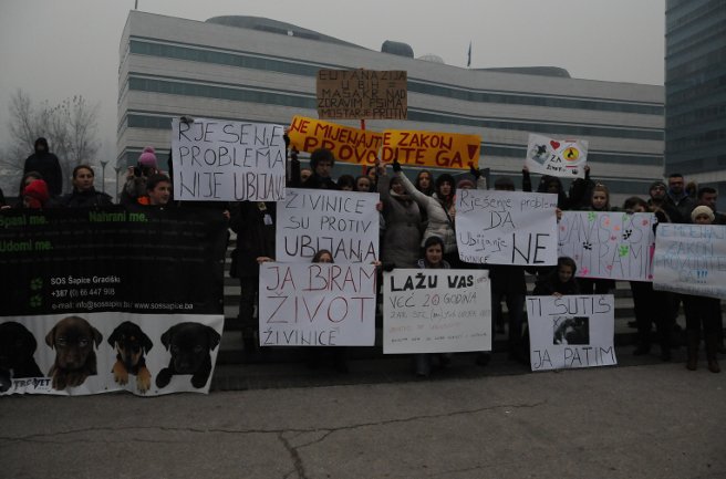 U Sarajevu protesti protiv eutanazije pasa/ Foto: AA