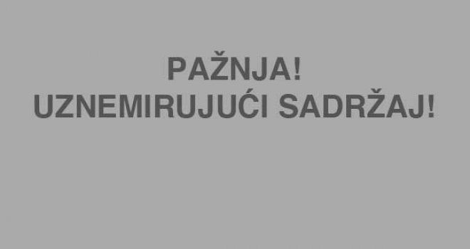 U centru Sarajeva napao ga čopor tornjaka, fotografije su toliko strašne da ih je Facebook odmah cenzurisao!