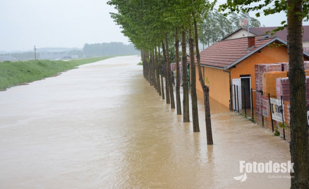 šamac pod vodom šamac pod vodom