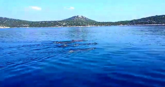 'Zov smrti' guta sve pred sobom: Nešto se događa unutra, u dubinama Jadranskog mora, nešto opako i vrlo loše...