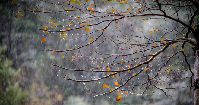 Šta nam donosi početak novembra: Temperature padaju, nema više sunčanih dana, a padavine...