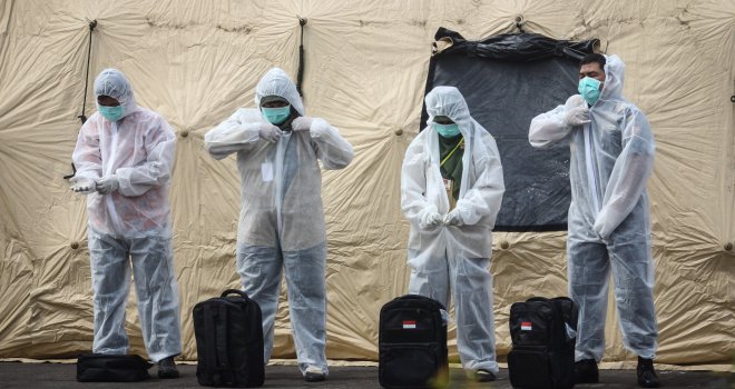 Virus zika bi mogao da se proširi i na jug Evrope