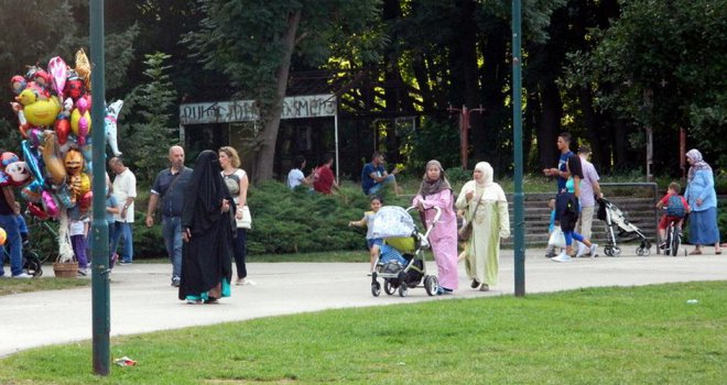 Da li Arapi legalno kupuju zemljište u BiH: Fiktivne firme lica koja nikad nisu ušla u BiH