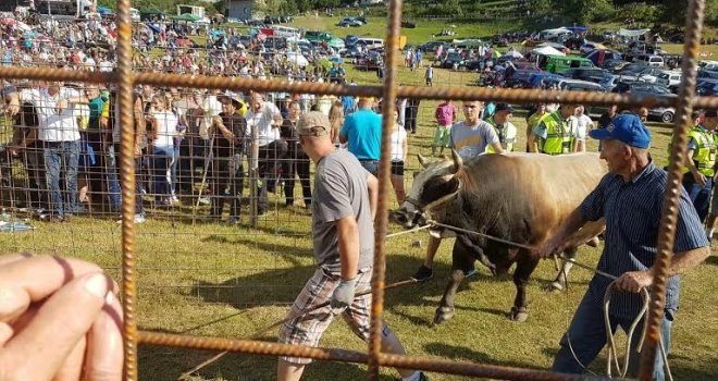 Otkazana Čevljanska korida: Organizatori otkrili šta su razlozi za ovu odluku