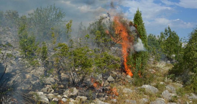 Požar na Čvrsnici proširio se prema rejonu Pograda, vatrogasci dežuraju 24 sata