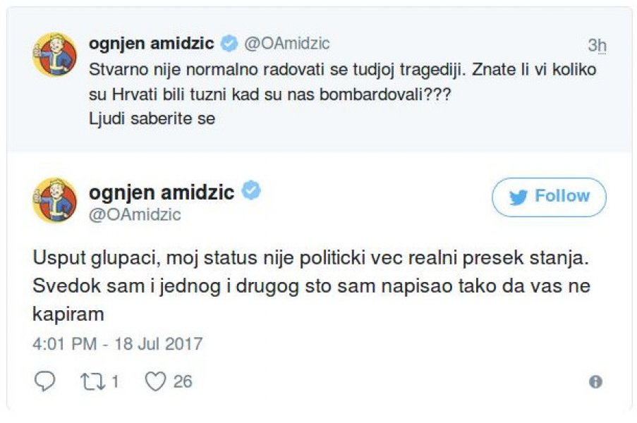 ognjen-amidzic-status