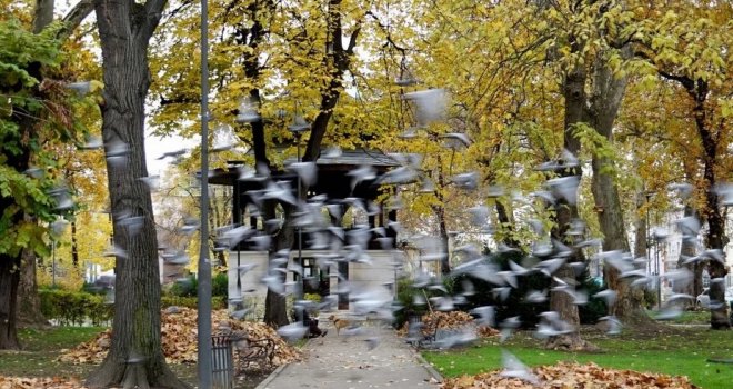 Popularni meteorolog Zoran Vakula objavo prvu dugoročnu prognozu za jesen: Septembar počinje s kišom, a onda...