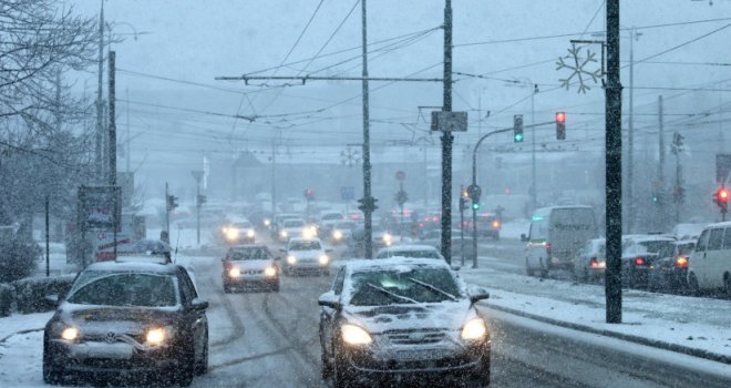 Pad stabla u Velikom parku uzrokovao prekid tramvajskog saobraćaja u Sarajevu