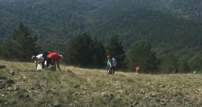 Branje trave ive na Ozrenu upisano na UNESCO-ovu listu nematerijalne baštine čovječanstva