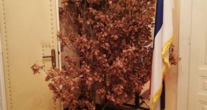 Unesen badnjak u Dodikov kabinet u Sarajevu