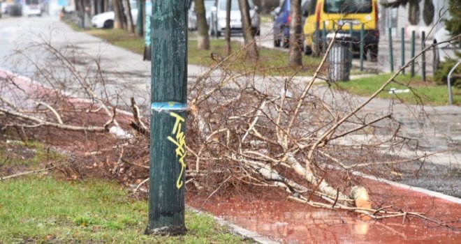 Sarajevo nakon olujnog vjetra: Stablo oštetilo krov Srednje grafičke škole, grane padale i na automobile