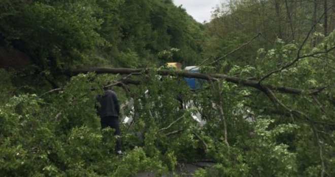 Izašao iz kolone i stvar uzeo u svoje ruke: Srušilo se drvo i blokiralo put, a onda je jedan dovitljivi muškarac...