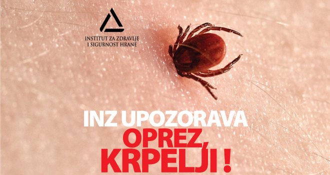 Oprez, krpelji: Svaki četvrti je zaražen! Ako ne prepoznate ove simptome na vrijeme, možete umrijeti