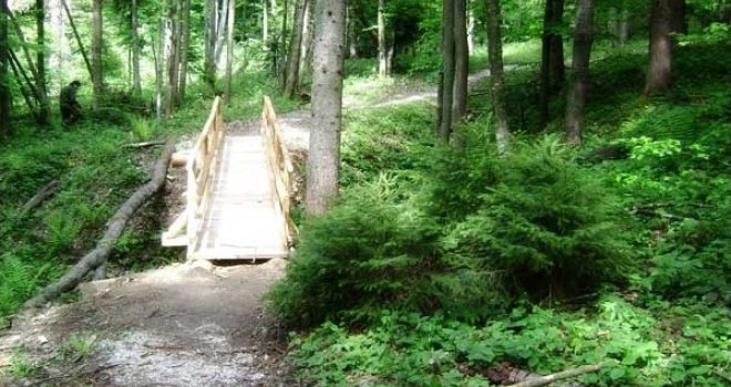 Duboko u šumi: Omiljeno mjesto za političke sastanke u BiH, a da bi gostima bilo ugodno, evo kako se zagrijava...