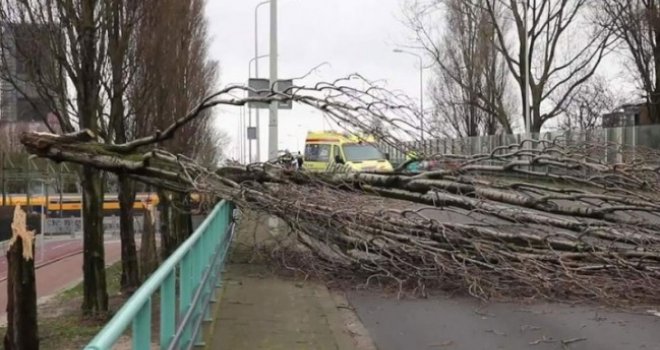  'Oluja je mnogo jača nego što smo očekivali': Nevrijeme u Hagu uništilo krovove, čupalo drveće, letjeli kontejneri...