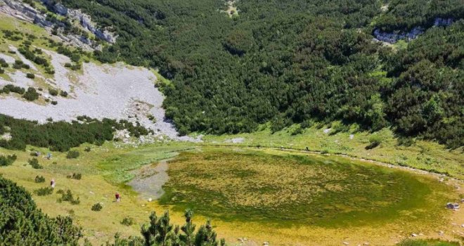 Lokvanjsko jezero, ukras Bjelašnice, nestaje pod barskim biljem