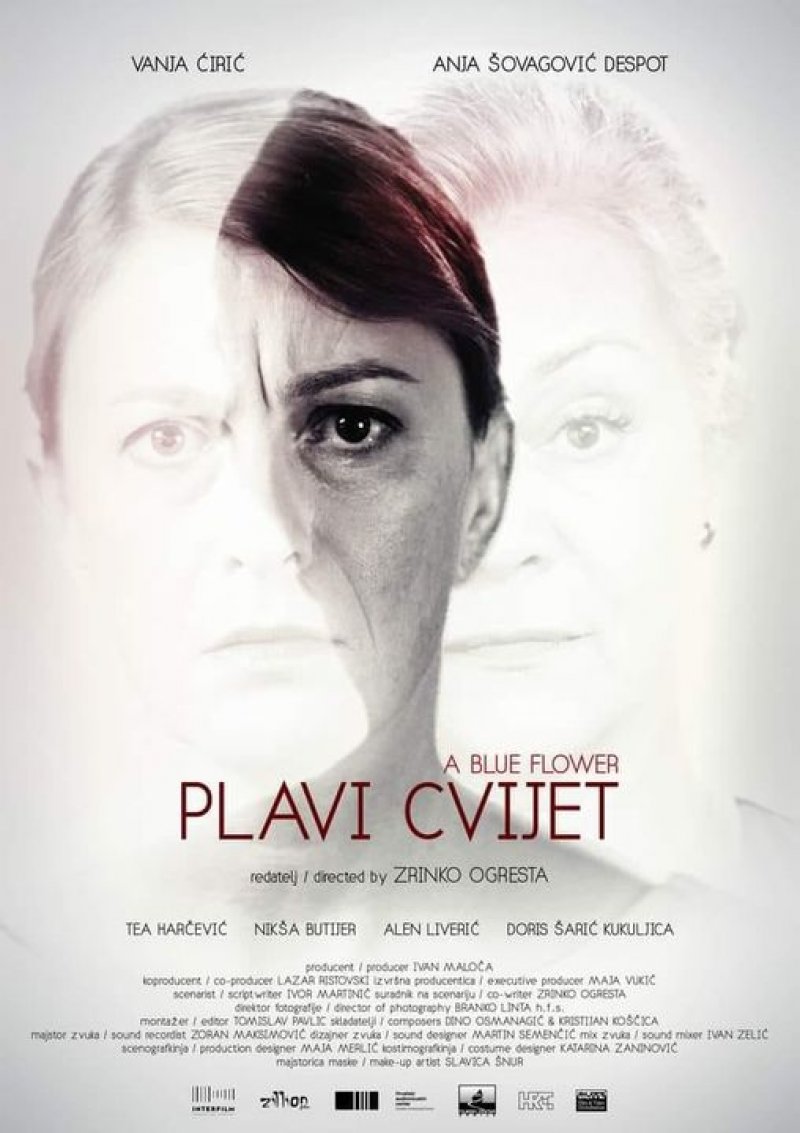 plavi-cvijet-plakat