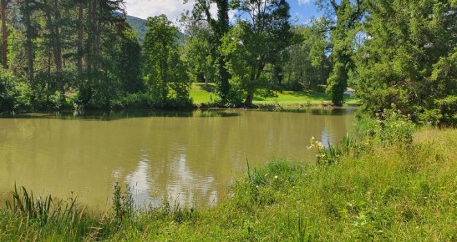 Ćelavi ibis iz Bosne i Hercegovine svratio u Crnu Goru, cijelu noć ga čuvali i pratili