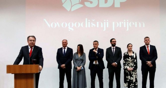  SDP: Naših 12 amandmana omogućavaju 1.000 KM svim porodiljama u FBiH