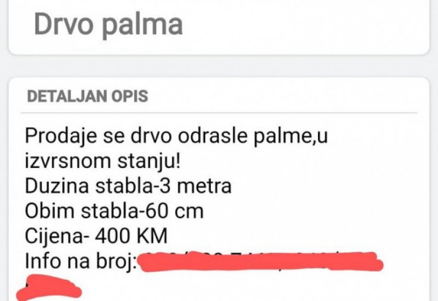 oglas-za-palmu