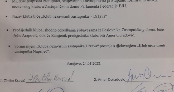 U Federalnom parlamentu formiran Klub nezavisnih zastupnika 'Država', evo ko ga čini