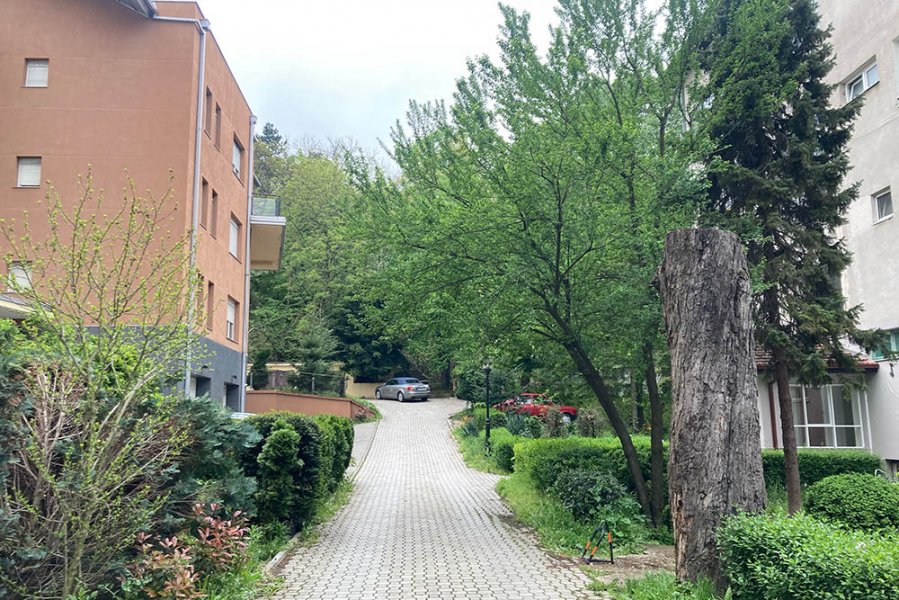 mirko-sarovic-nekretnina-dedinje