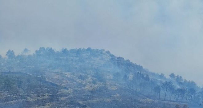 Požar u Dalmaciji više se ne širi, na terenu vatrogasci i kanaderi