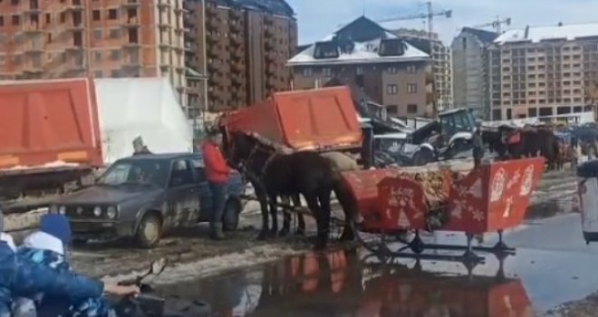 Nevjerovatna drama na Zlatiboru: Džokej na stazi izgubio kontrolu, konji sa sankama zabili se u automobil