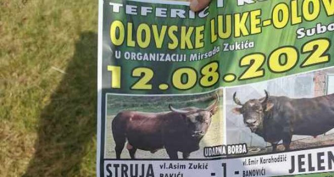 U subotu novo narodno veselje: Velika korida u Olovskim Lukama, 12 okršaja... Stiže i Supermen sa Čevljanovića!