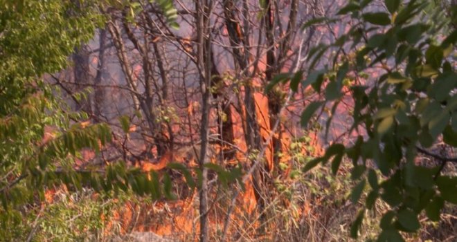 Hercegovina ponovo gori, vatrogasci se od jutros bore sa vatrenom stihijom