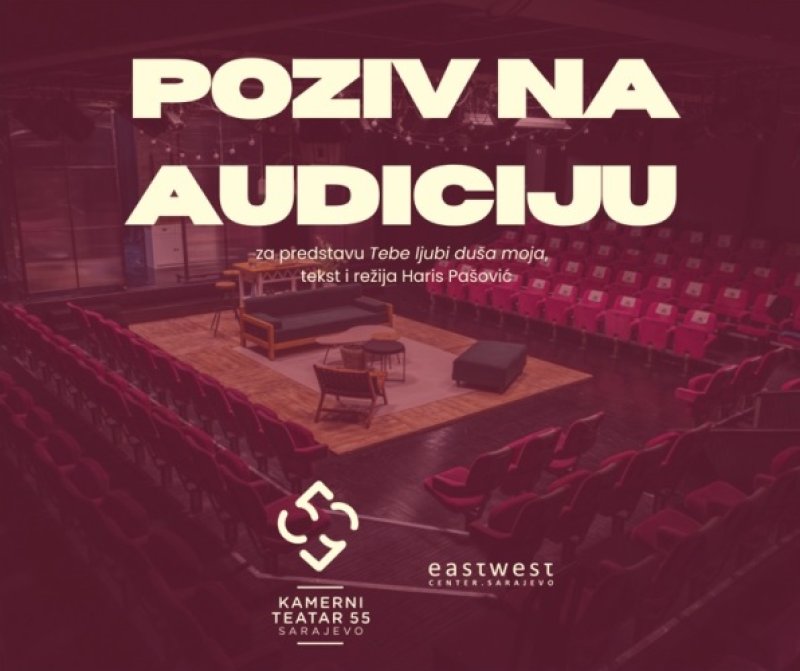 audicija-kamerni-pasovic