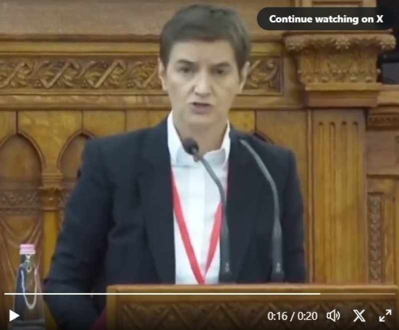 ana-brnabic-govor-na-engleskom-x