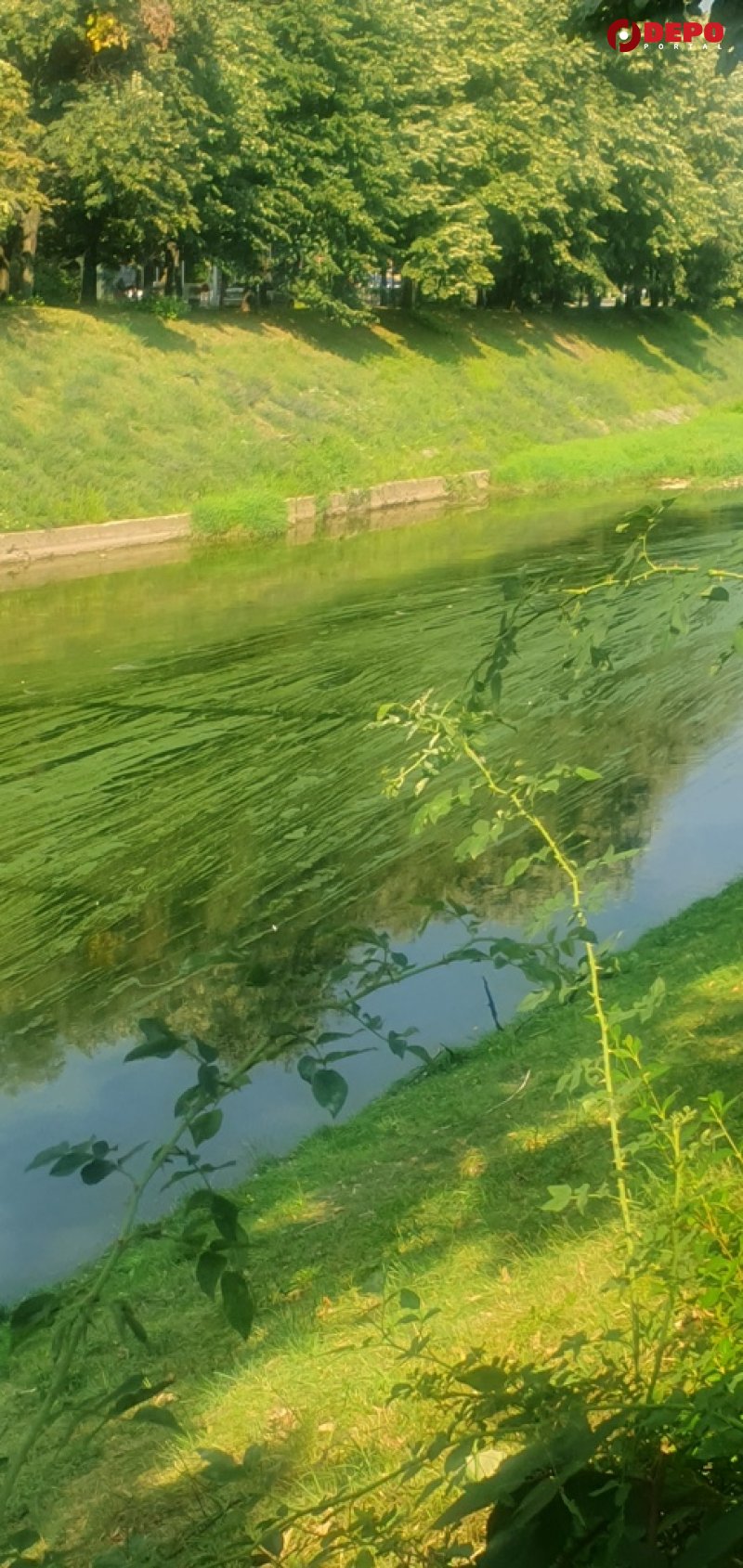 miljacka-zelena-presusila-depo