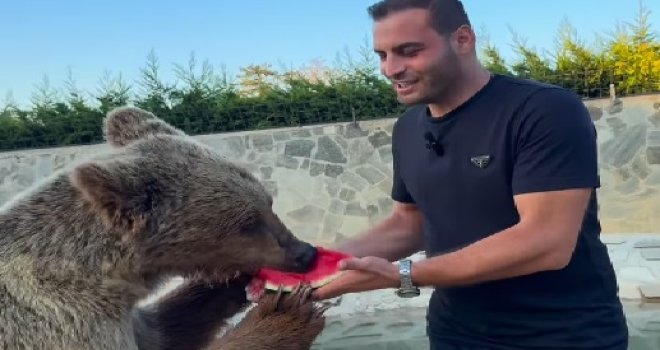 Ludi prizori iz Turske, medvjed se prejeo voća pa završio na hitnoj, snimka je hit: ‘Pa to je Okan, naš stari znanac...‘