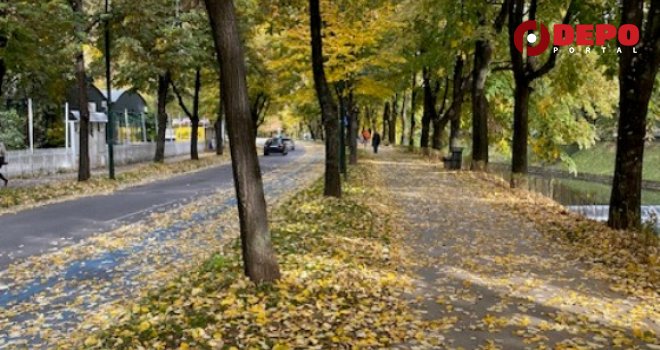 Drama u Sarajevu: Razjareni pas lutalica napao dječaka (13) usred dana na Vilsonovom šetalištu  