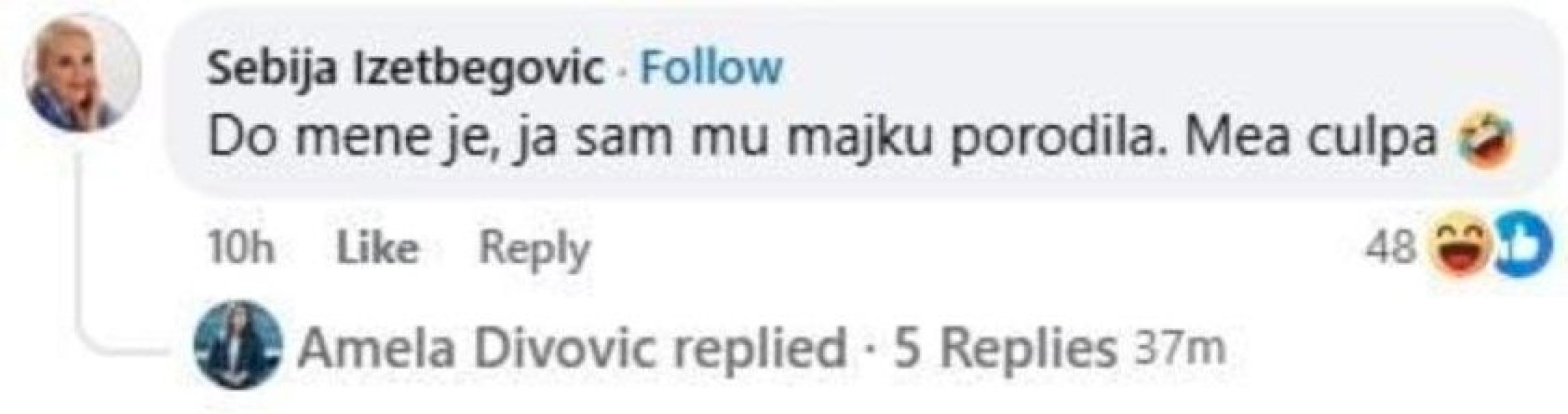 sebija-izetbegovic-komentar