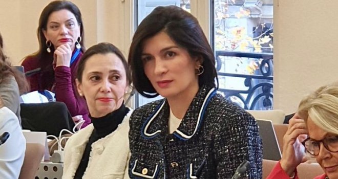 Ćudić: 'Tragikomična izjava Trišić Babić o EU predmet sastanaka i podsmijeha u Parizu'