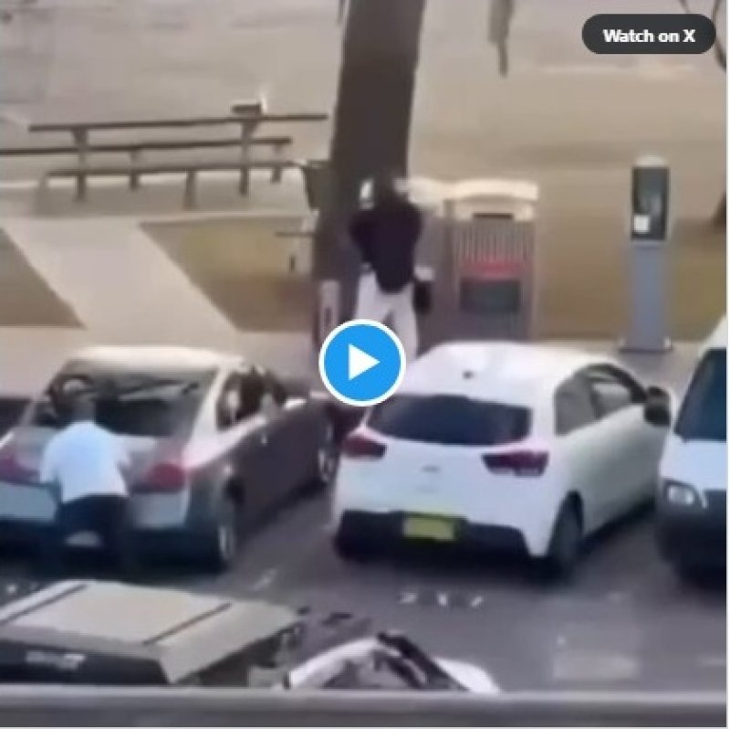 sydney-plaza-bond-napad-ahmed-heroj-video