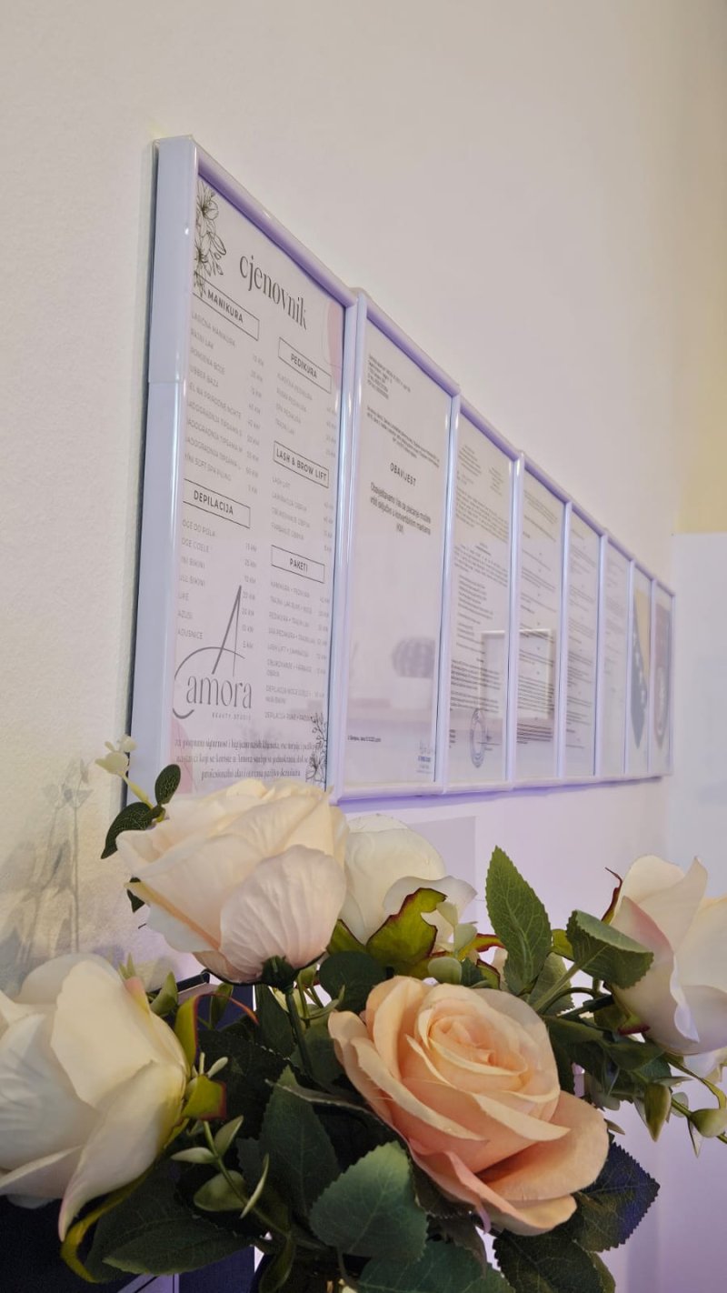 ajla-lupic-salon-fond-zpr-2